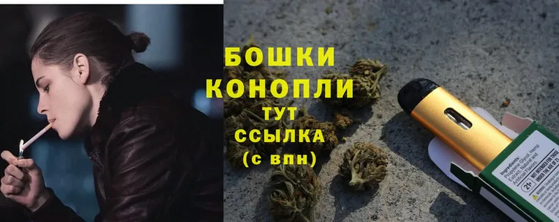 где купить наркотик  Дорогобуж  Конопля OG Kush 